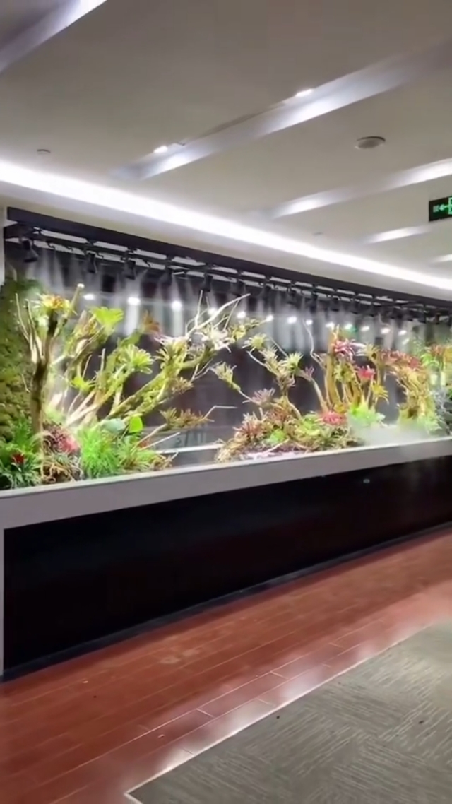 水族箱 微型海洋的藝術(shù)與科學