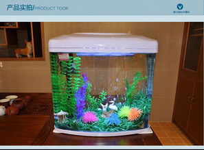 創意生活新體驗 閩江寶來金鉆小型超白玻璃水族箱